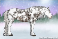 Horse Color:Silver Black Ice Sabino 