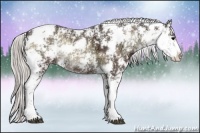 Horse Color:Silver Blue Onyx Ice Sabino 