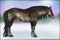 Horse Color:Brown Ice Onyx Sabino