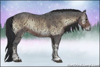 Horse Color:Brown Ice Onyx Rabicano 