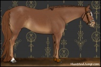 Horse Color:Chestnut Sabino