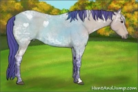 Horse Color:Watercolor Buckskin Ice Roan