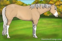 Horse Color:Silver Buckskin Splash Frame 