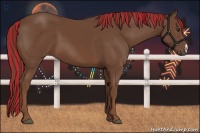 Horse Color:Painted Chestnut 
