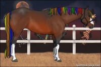 Horse Color:Painted Bay 