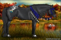 Horse Color:Black Appaloosa