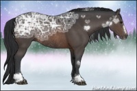 Horse Color:Brown Ice Sabino Rabicano 