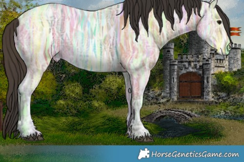 Horse Color:Bay Ice Rabicano 