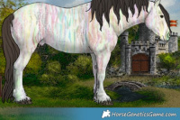 Horse Color:Bay Ice Rabicano