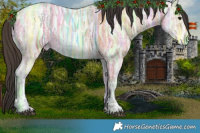 Horse Color:Bay Ice Rabicano 