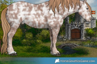 Horse Color:Chestnut Ice 