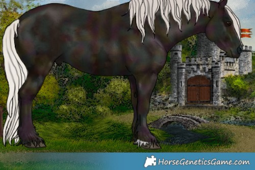 Horse Color:Midnight Silver Black Ice 