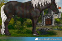 Horse Color:Midnight Silver Black Ice 