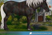 Horse Color:Midnight Silver Black Ice