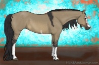 Horse Color:White Spotted Brown Dun