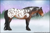 Horse Color:White Spotted Brown Blanket 