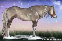 Horse Color:White Spotted Silver Blue Onyx 