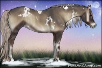 Horse Color:White Spotted Silver Blue Onyx 