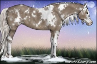 Horse Color:White Spotted Silver Grullo Splash 