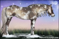 Horse Color:White Spotted Silver Blue Onyx 
