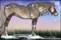Horse Color:White Spotted Silver Blue Onyx 