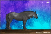 Horse Color:Smoky Black Rabicano