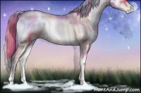 Horse Color:Plaid  Chocolate Palomino Pearl Onyx Sabino 