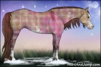 Horse Color:Plaid  Liver Red Dun Sabino 