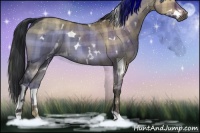 Horse Color:Plaid  White Spotted Brown Dun 