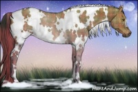 Horse Color:Plaid White Spotted Liver Red Dun Rabicano