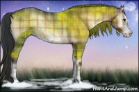 Horse Color:Plaid Brown Onyx Sabino