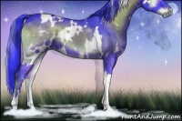 Horse Color:Watercolor White Spotted Blue Onyx 