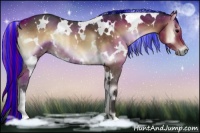 Horse Color:Painted White Spotted Brown Onyx 
