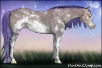 Horse Color:Watercolor Sable Champagne Sabino Frame Rabicano