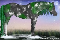 Horse Color:Painted White Spotted Black