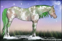 Horse Color:Watercolor White Spotted Sable Champagne 