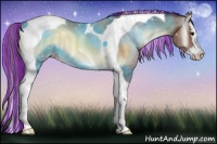 Horse Color:Painted Classic Champagne Onyx Sabino Splash Tobiano 
