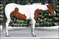 Horse Color:Bay Tobiano