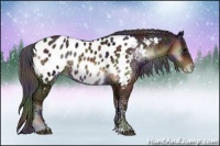 Horse Color:Nacre Bay Ice Onyx Sabino Appaloosa 