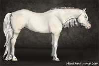 Horse Color:Silver Sable Cream Champagne Pearl Tobiano 