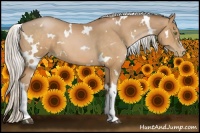 Horse Color:White Spotted Silver Brown Pearl 
