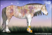 Horse Color:Nacre Buckskin Ice Sabino Rabicano 