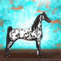 Horse Color:Brown Sabino Appaloosa 