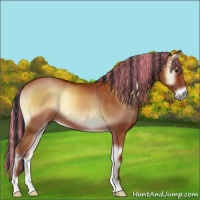 Horse Color:Painted Bay Onyx 