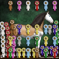 Horse Color:Sable Champagne Roan Splash 