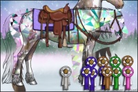 Horse Color:Plaid White Spotted Bay