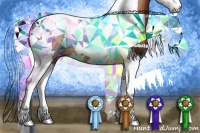 Horse Color:Bay Splash Tobiano 