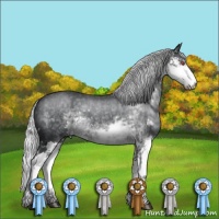 Horse Color:Silver Black Chinchilla Sabino 