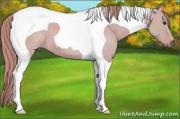Horse Color:Watercolor Red Dun Tobiano 