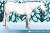 Horse Color:Chestnut Ice Near Leopard 
